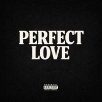 Perfect Love (feat. Michael Evans) - Single - Joey Supratta