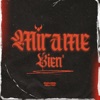 Mírame Bien (feat. BssDarrel) - Single