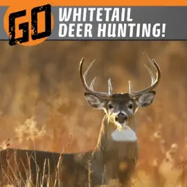 Go Whitetail Deer Hunting!: The Wild Outdoors (Unabridged)