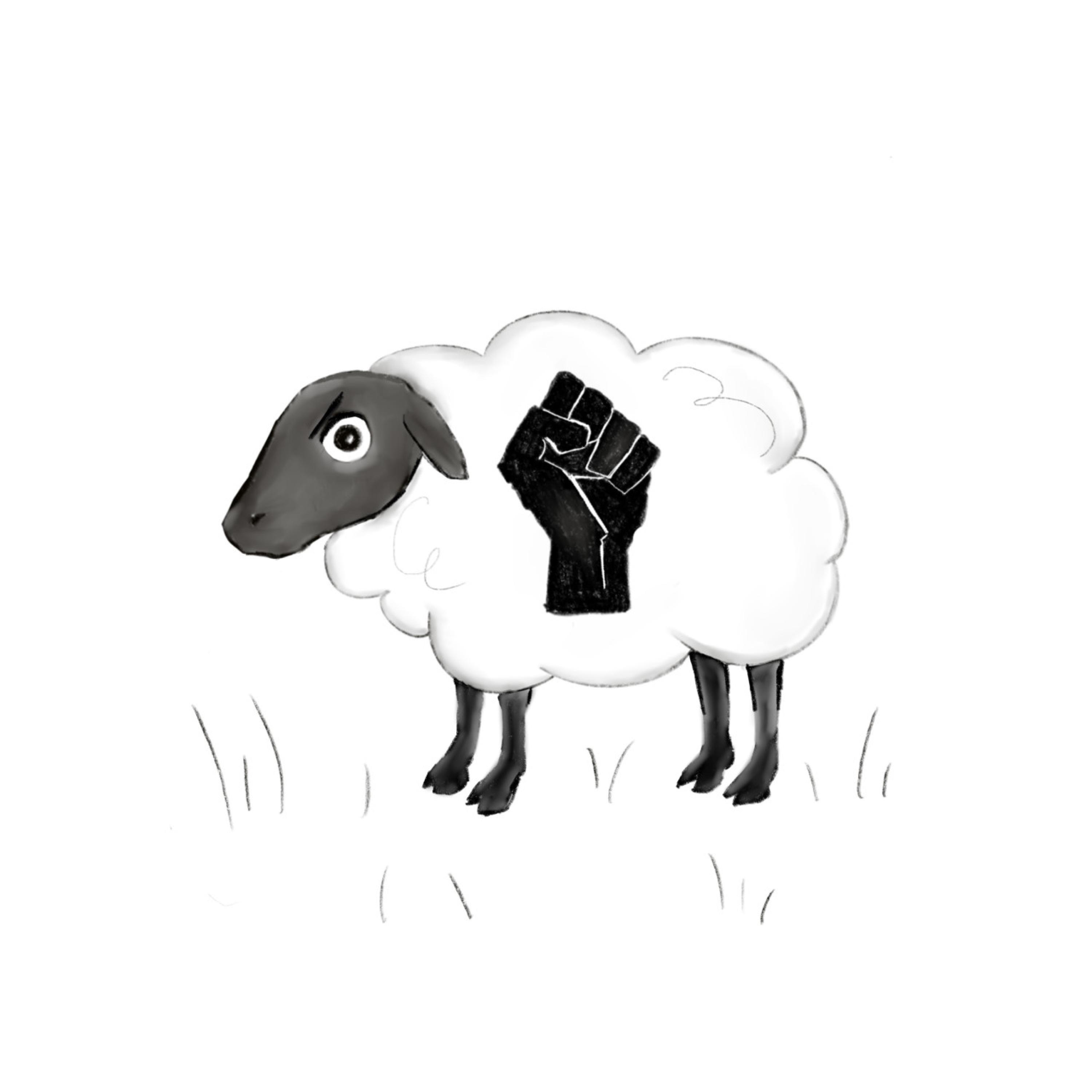 Schäfchen zählen - Single