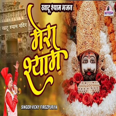 Mera Shyam - Single
