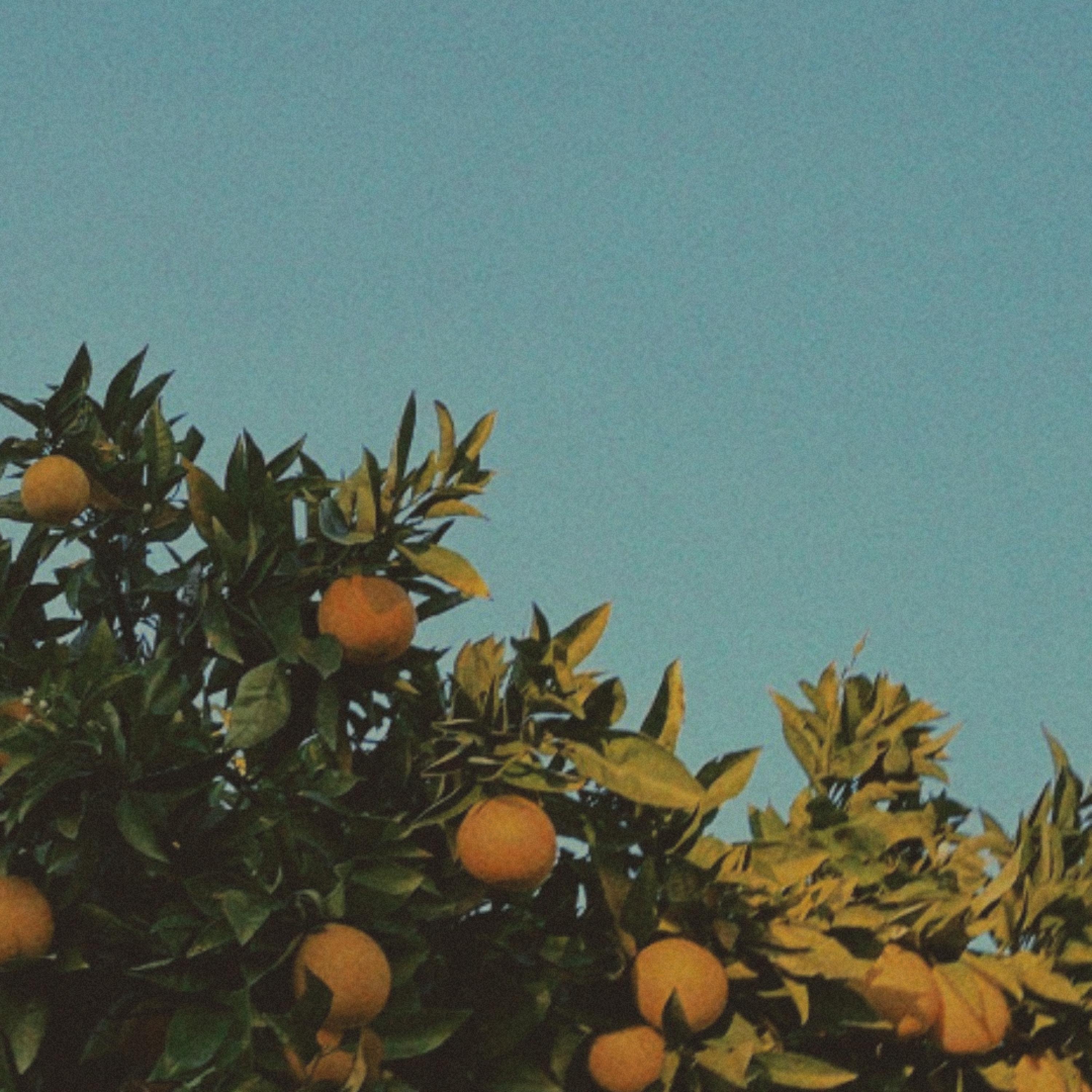 take it for granted - Single