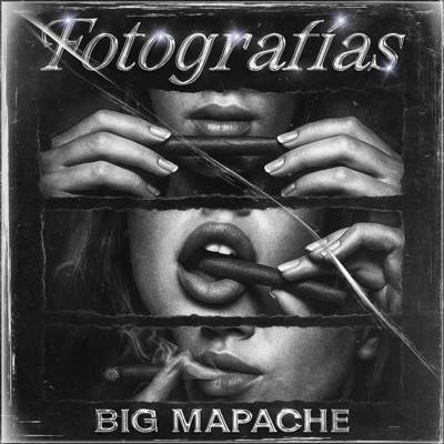 Fotografias - Single