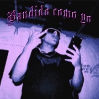 Bandido Como Yo - Single - Zane World