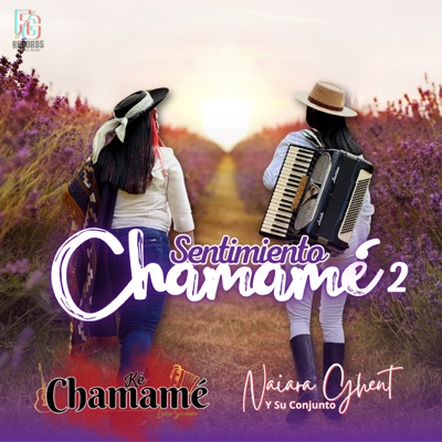 Sentimiento Chamamé 2 - Single