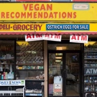 Vegan Recommendations - Single - Qung Xav