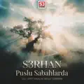 Puslu Sabahlarda