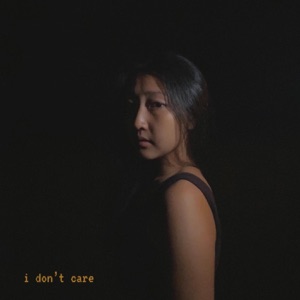 I Don't Care - Single