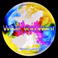 What You Want - Single - Nosta 2 Larue