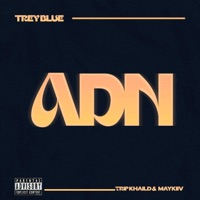 ADN (feat. Trip khaild & Maykiiv) - Single - Trey Blue