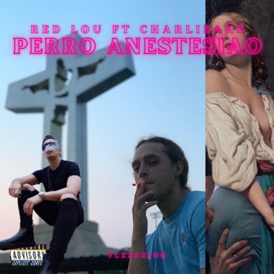 PERROS ANESTESIAOS - Single