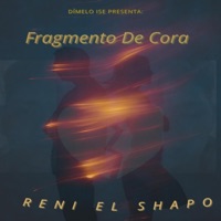 Fragmento De Cora - Reni El Shapo