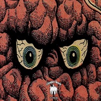 DIVINEWISDOM - Ant Kelly