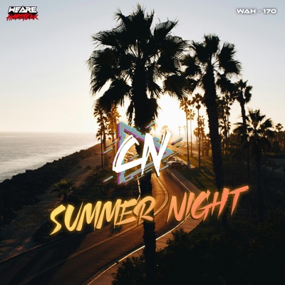 Summer Night - Single