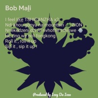 Bob Maḽi - Single - Kingv ZA, Izzy Da Izzo & Rnk MrOkay