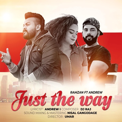 Just The Way - Single