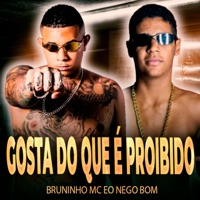 Gosta do Que É Proibido - Single - Bruninho Mc & Eo Nego Bom