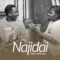 Najidai (feat. Q Chief) - TID lyrics