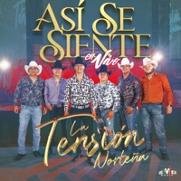 Así Se Siente (En Vivo) - La Tensión Norteña