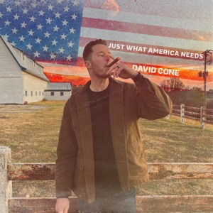 Just What America Needs - Single