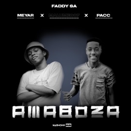 AmaBoza (feat. Meyar, Malume007 & Pacc) Faddy SA