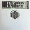 The Last Goodbye (feat. Bettye LaVette) [Odd Mob Remix] cover art