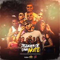 Delirios de uma Noite (feat. MC Lipão & Pejota013) - Single - DJ Mayk, Will Carmo, RavyllsMc & Mc Will DG
