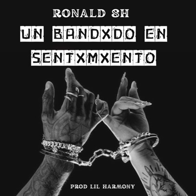 Un Bandido En Sentimiento - Single