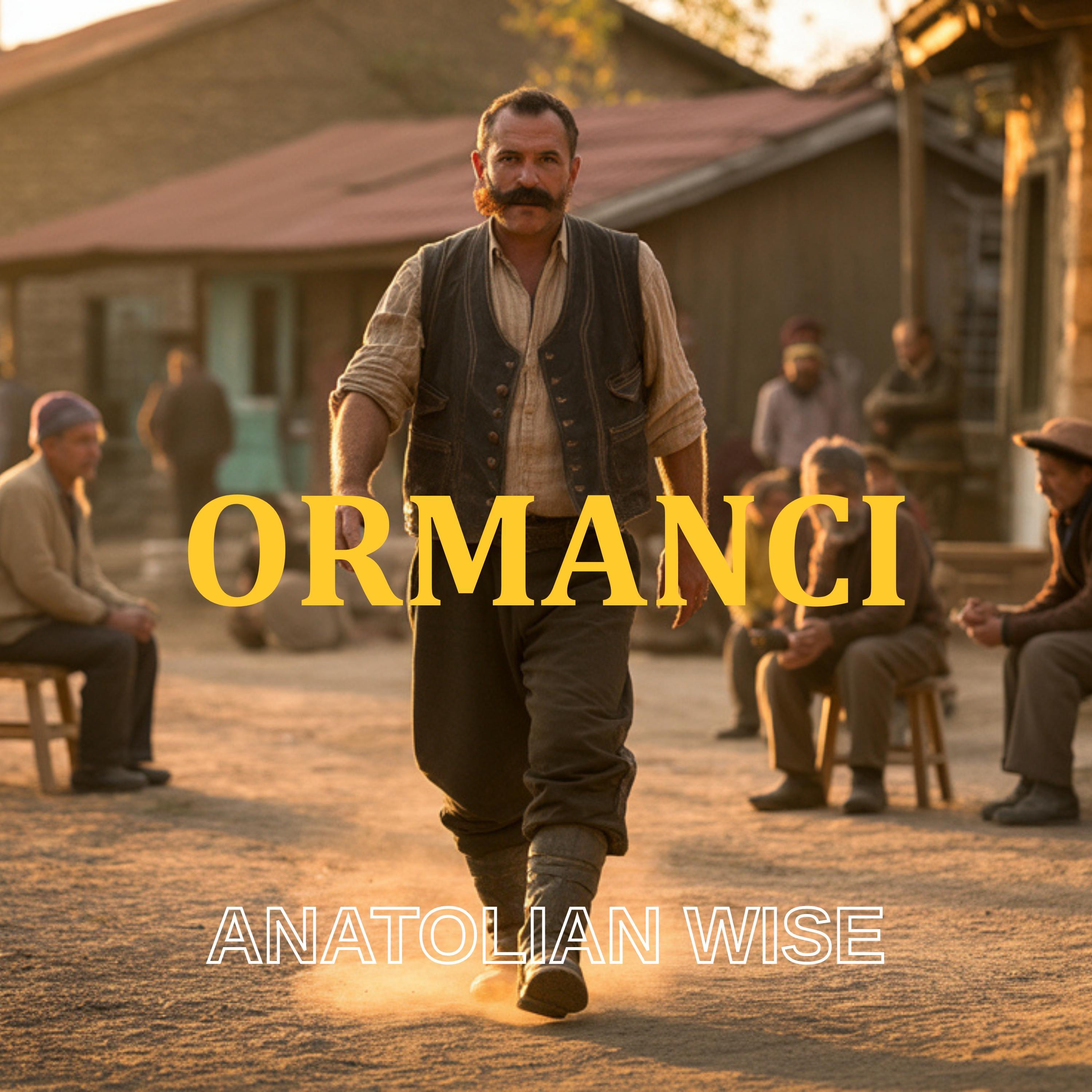 Ormancı (Psychedelic Anatolian Rock Cover) - Single