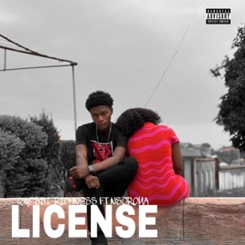 LICENSE (feat. Nsoroma) QwessiRichness