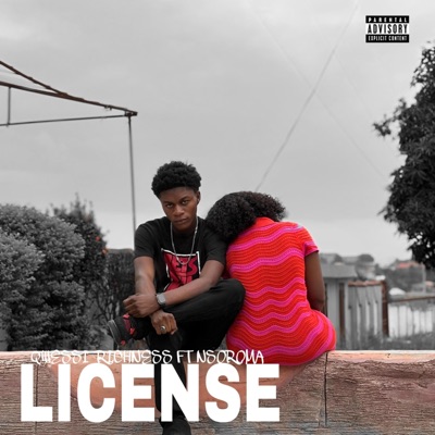 LICENSE (feat. Nsoroma) - Single