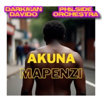 Hakuna Mapenzi (feat. Philside Orchestra) - Single - Darkman Davido