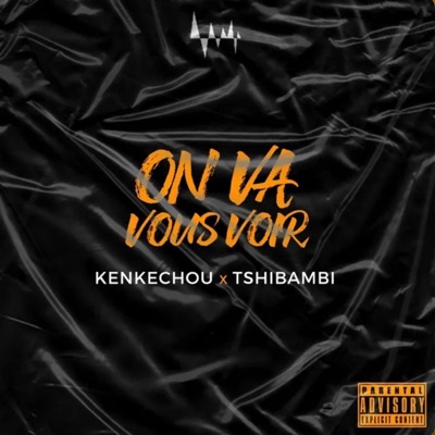 On Va Vous Voir (OVVV) (feat. TSHIBAMBI) - Single