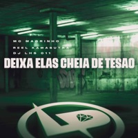 Deixa Elas Cheia de Tesao - Single - Mc Magrinho, Reel Kamasutra & DJ LHS 011