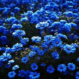 Love Like That KidTrills