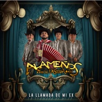 Los Alameños De La Sierra - La Llamada de Mi Ex