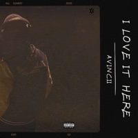 I Love It Here - Avincii