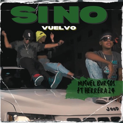 Si no vuelvo (feat. Herrera 24) - Single