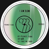 Planet Funk artwork