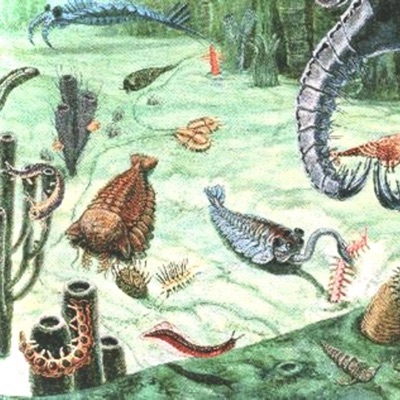 song for the precambrian creatures - Single
