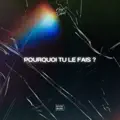 Pourquoi tu le fais