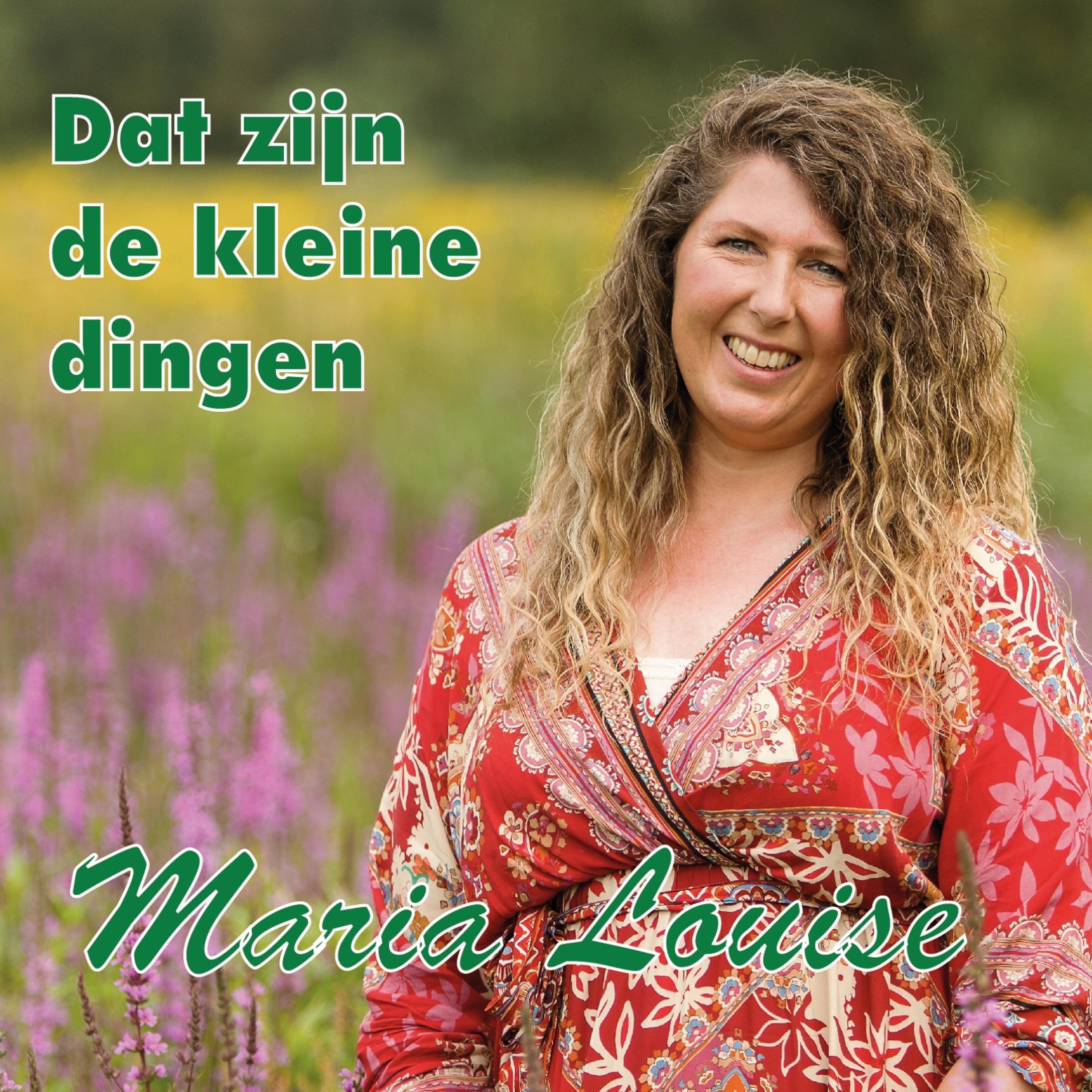 Dat zijn de kleine dingen - Single