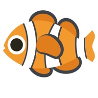 Nemo - Single - kiik & Sane