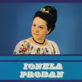 Bordeiasul