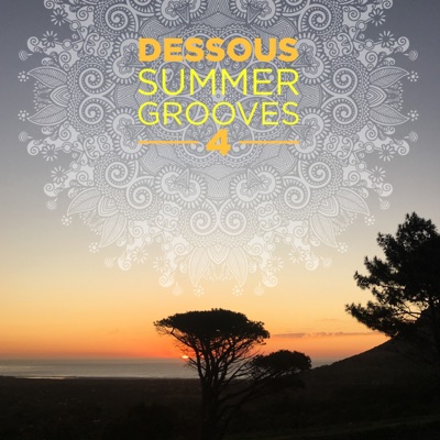 Dessous Recorings Summer Grooves 4
