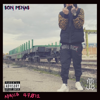 SON PENAS - Single
