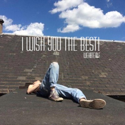 I Wish You The Best! - Single