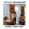 Velvet Daydream - What They Say Grafik