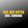 Nini-nini Impor - Single