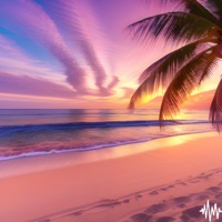 Sun Haze - Single - Sleepy Teddy Chillez & the smooth kid